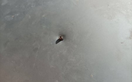 عودة إطلاق النار إلى شوارع عدن تثير القلق وتُجدّد المطالب بحظر الظاهرة(صور)