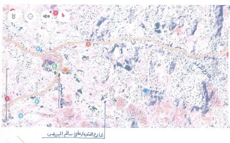 تعز تسمي شارعاً رئيسياً باسم المناضل علي سالم البيض تنفيذاً لتوجيهات رئاسية 