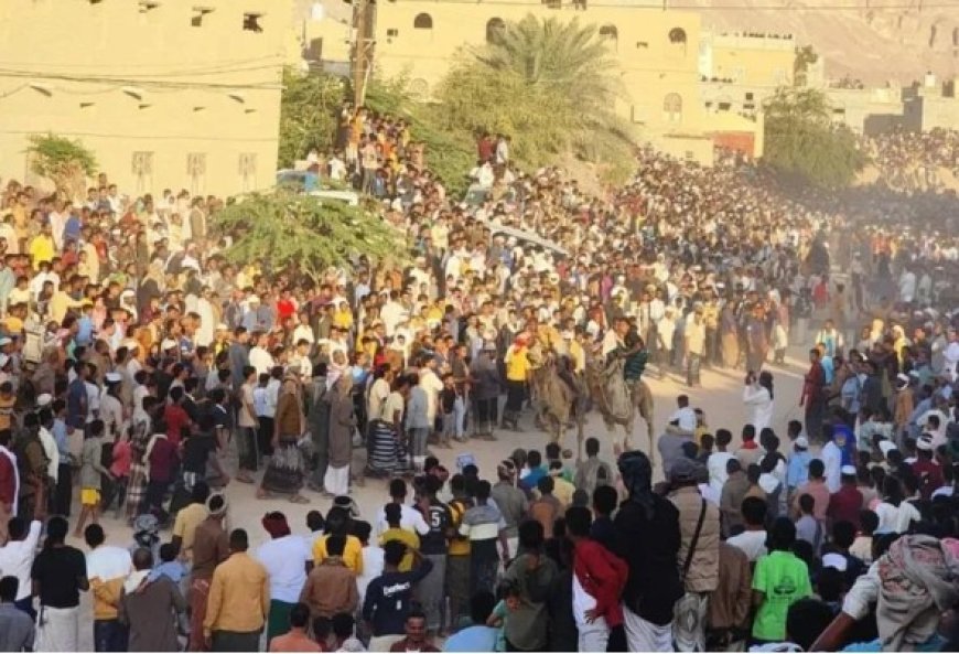 سباق الهجن السنوي تحتضنه تريم حضرموت بمشاركة 130 متسابقا...