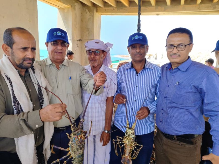 المستشار الفني للوزارة يشارك  بدشين افتتاح موسم الشروخ الصخري للعام 2026م بمحافظة ارخبيل سقطرى 