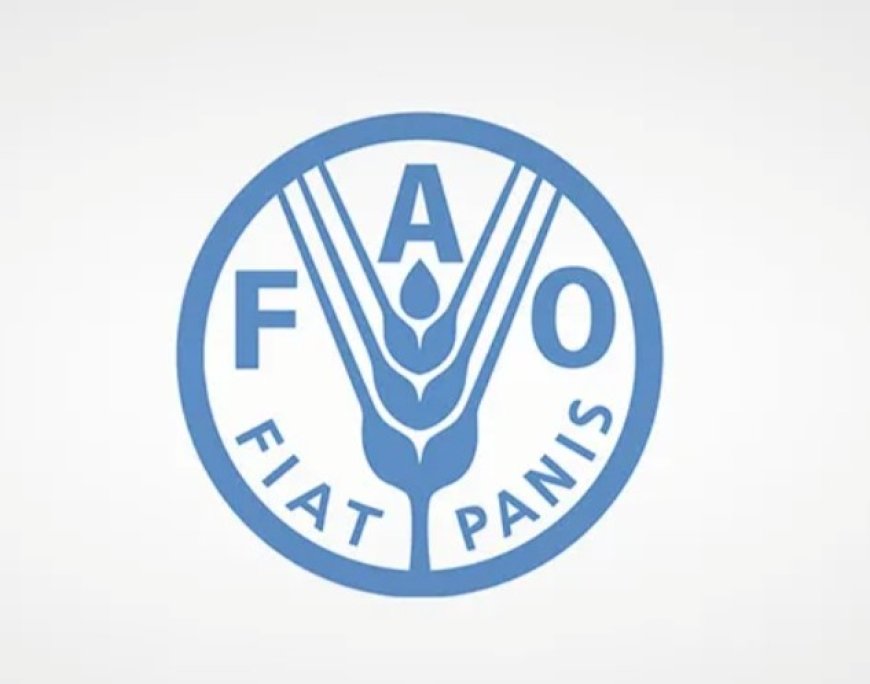 منظمة الفاو تحذر من وضع إنساني شديد الخطورة في اليمن .