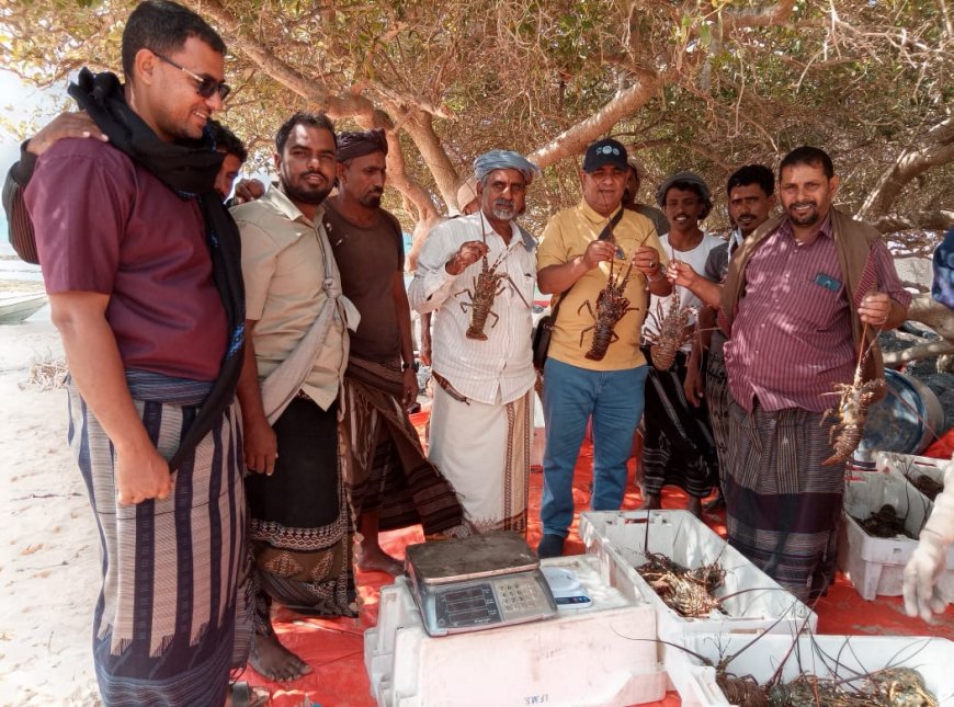 نزول رسمي لمتابعة موسم الشروخ الصخري في الشريط الساحلي لمنطقة قعره بسقطرى