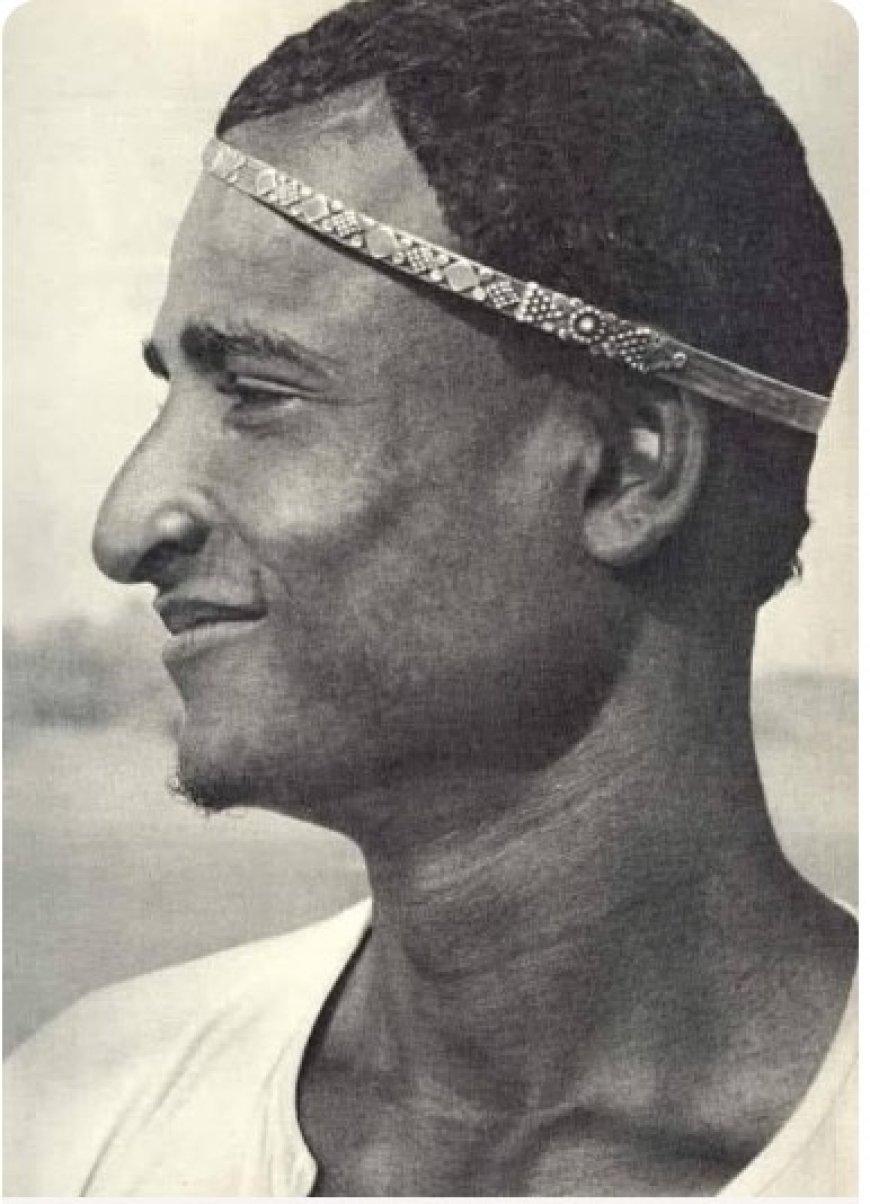 تهامة اليوم ليست تهامة الامس !!!...