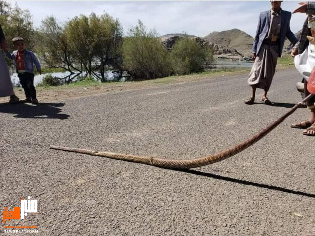 شاهد صورة مرعبة..هذا ماتم العثور عليه بسد عملاق في صنعاء