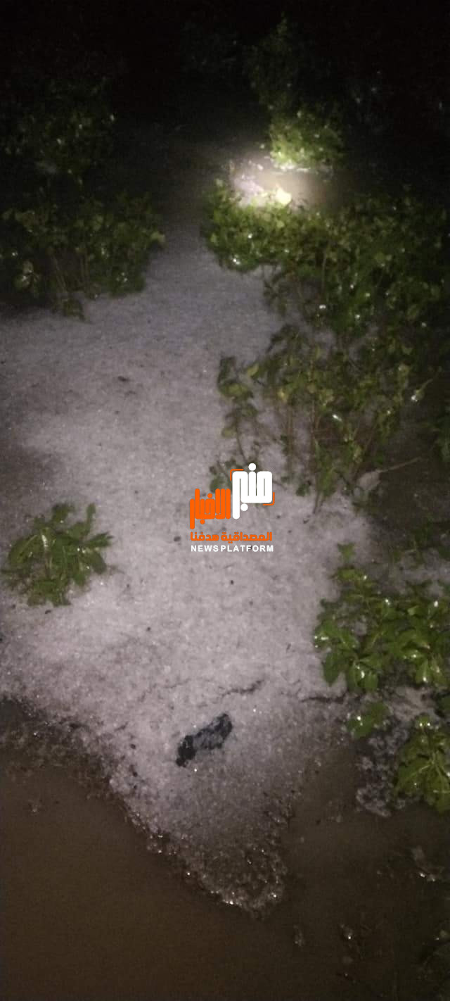 عاجل : مزارع القات تغرق بالثلوج في ذمار (صور)