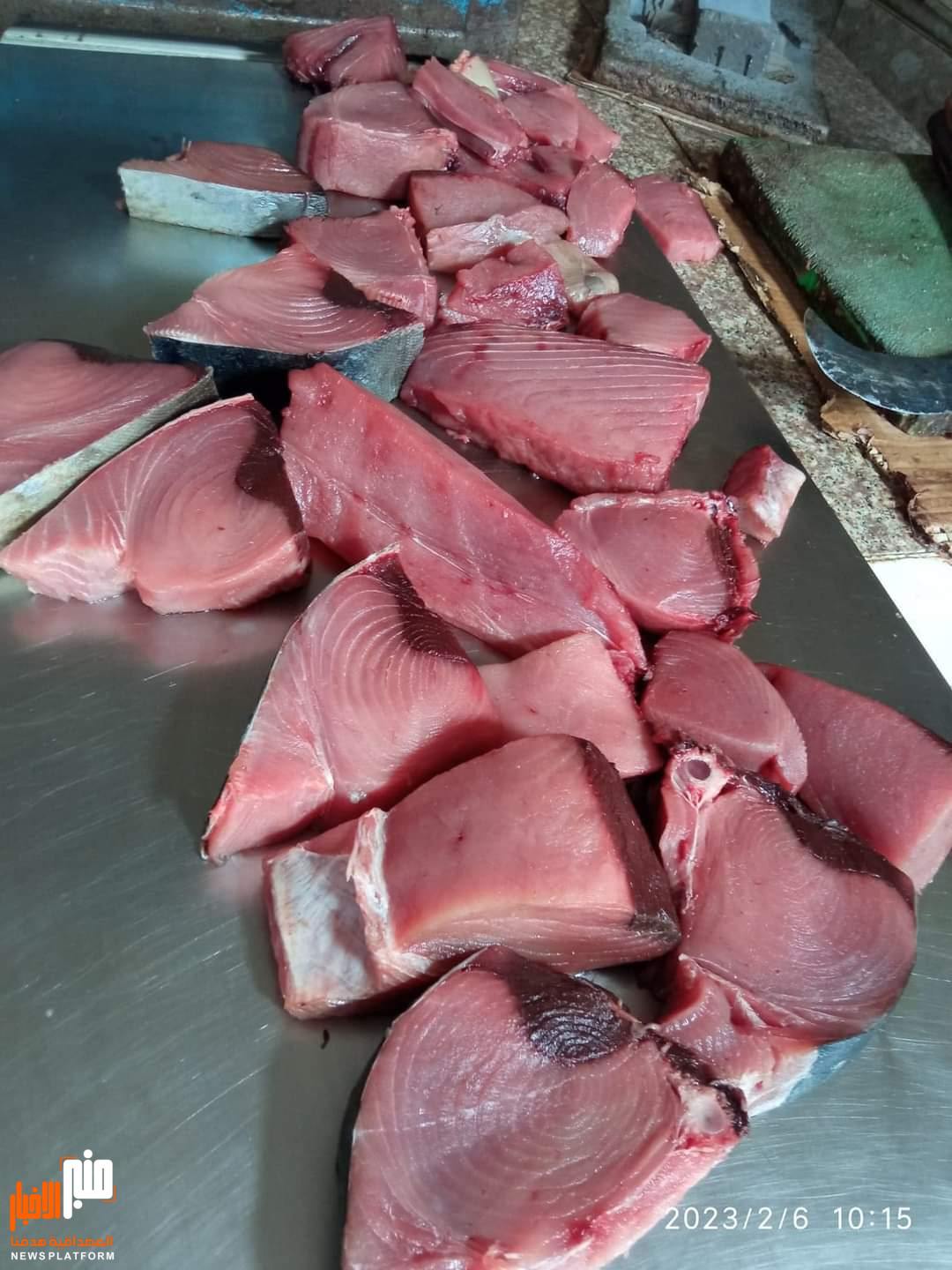 وسط إرتفاع كبير..منبر الاخبار ينشر قائمة آخر أسعار الأسماك في عدن